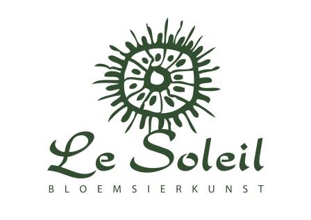 logo Lesoleil